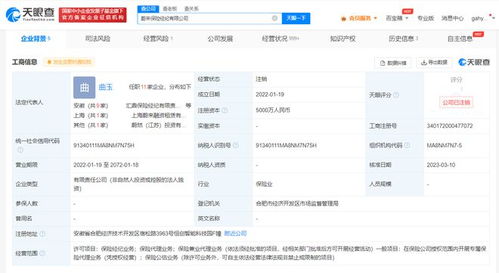 蔚來(lái)保險(xiǎn)經(jīng)紀(jì)公司注銷，聚焦主業(yè)還是戰(zhàn)略調(diào)整？